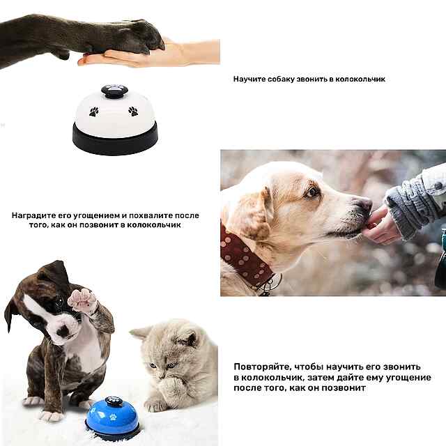 Дзвінок дресирувальний для собак/котів, навчання туалету та командам - 2 фото товару
