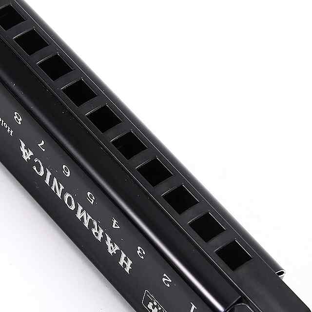 Гармошка губна 10 отв. C, чорна (у чохлі) - недорого. - 1 фото товару