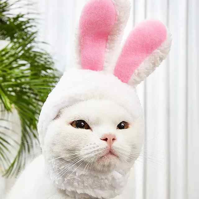 Головний убір Кішка Кролик Милий Аксесуар для Фотосесій Хеллоуїн Україна - 0 фото товару