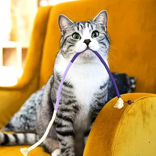 Іграшка для кота з сизалю: міцна мотузка   Gall Fruit рослина Silvervine. - 0 фото товару