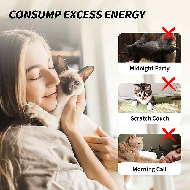 Іграшка для котів Динамік - удосконалена, міцна, розвиваюча, з присоскою. - 1 фото товару