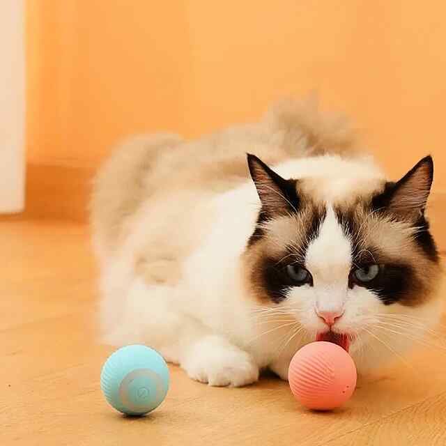 Іграшка для котів Stress Cat, самокат., USB, силікон, блакитний/рожевий 43мм. - 2 фото товару