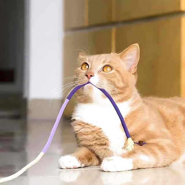 Іграшка-мотузка для котів: Сизаль   Silvervine, шліфування зубів, активність ???????? - 2 фото товару