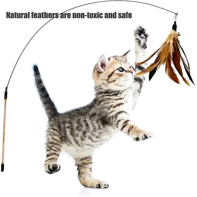 Іграшки для котів з пір'ям (5 шт.) – забави та фізичні вправи. - 1 фото товару