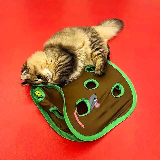 Ігровій тунель для котів із мишкою та м’ячем. - 1 фото товару