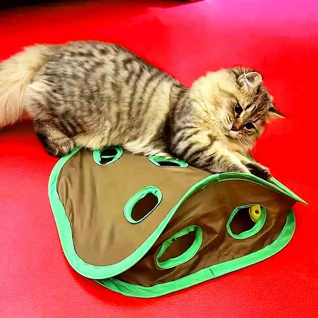 Інт. іграшка для кота тунель мишка м’яч 32x32x13 см - 3 фото товару