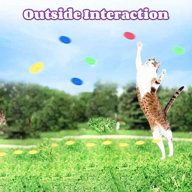 Катапульта-пістолет для котів з пінними дисками (набір 15шт) - 2 фото товару