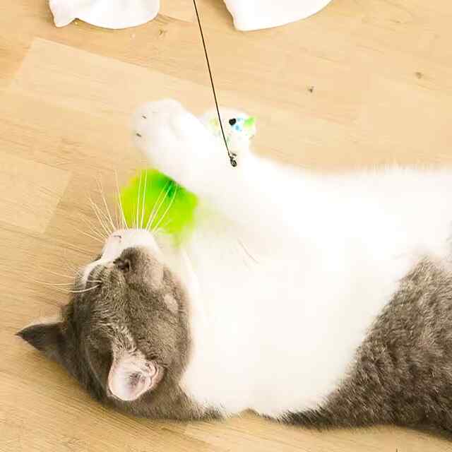 Кігтеловка-палиця з пір'ям та присоскою для котів – Всмоктування   30 см - 1 фото товару