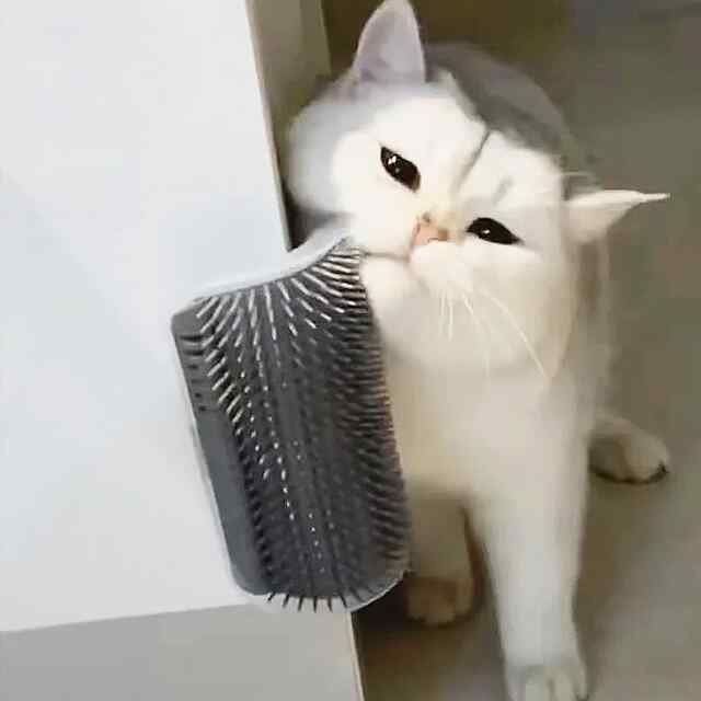 Масажер для котів: догляд та розвага в одному аксесуарі. Зменшує линяння, стимулює кровообіг та чухання. Сірий пластик 13×9 см.