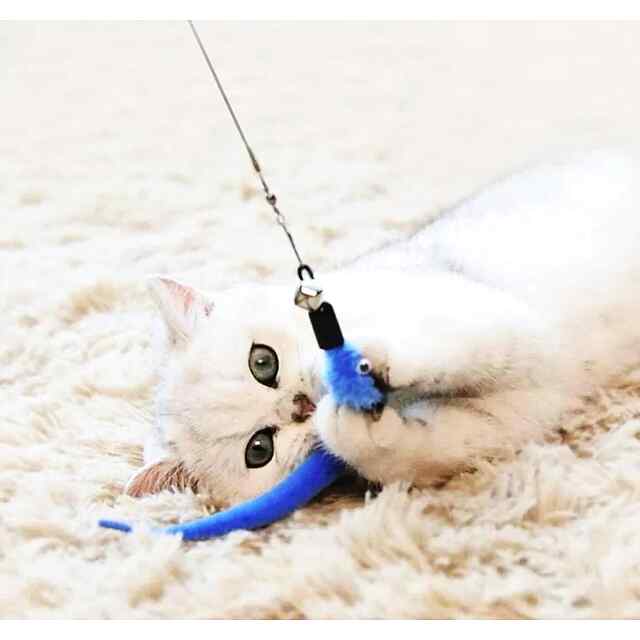 Набір інтеракт. іграшок для котів 12 предметів, вудочки   насадки - 2 фото товару