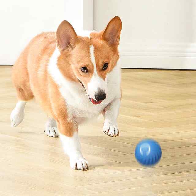 Синій іграшковий м'яч для собак та кішок з ТПР інтелектуальний 5.2 см G1339. Код:G1339. Укр - 3 фото товару