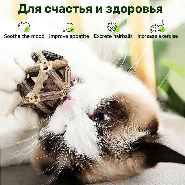 Жувальний ротанговий м'яч для котів з котячою м'ятою, догляд за зубами. - 2 фото товару